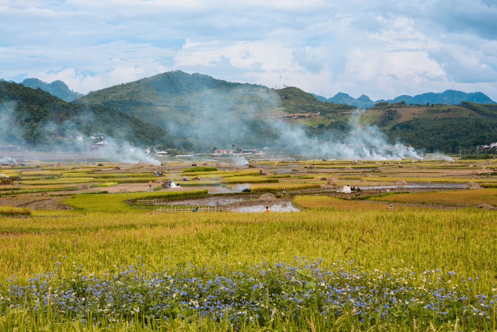 Nikon D7100 sample photo. Vietnam, dienbien, landscape photography