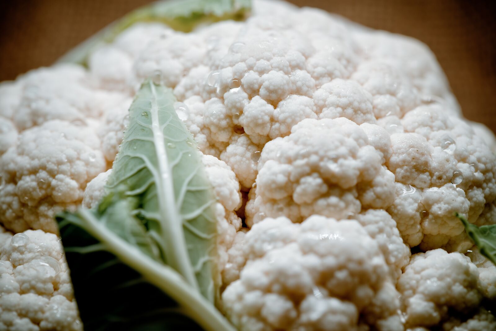 Nikon D800 sample photo. Cabbage, food and drink photography