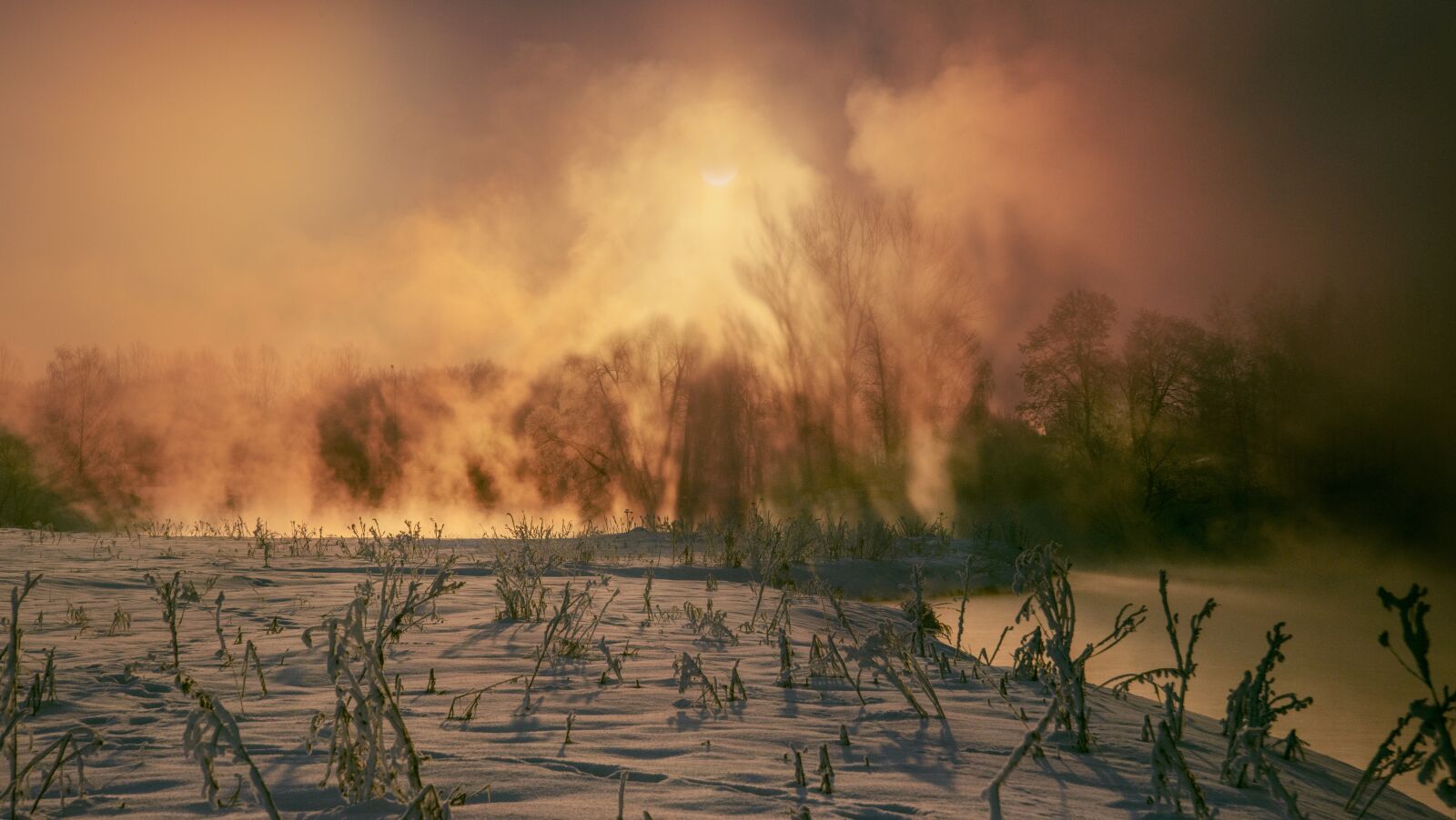 Nikon D800 sample photo. Winter, morning, snow photography