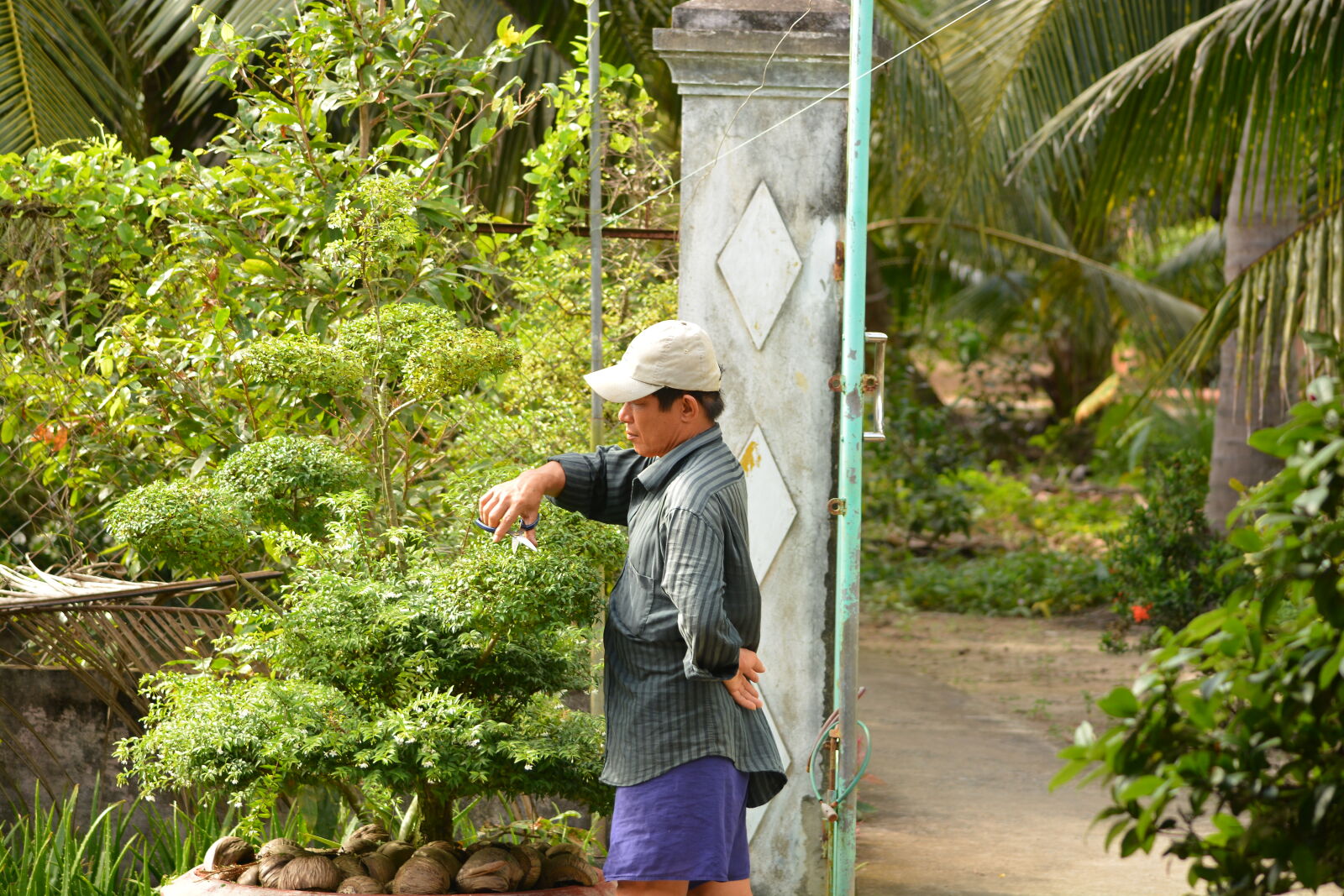 Nikon D7100 sample photo