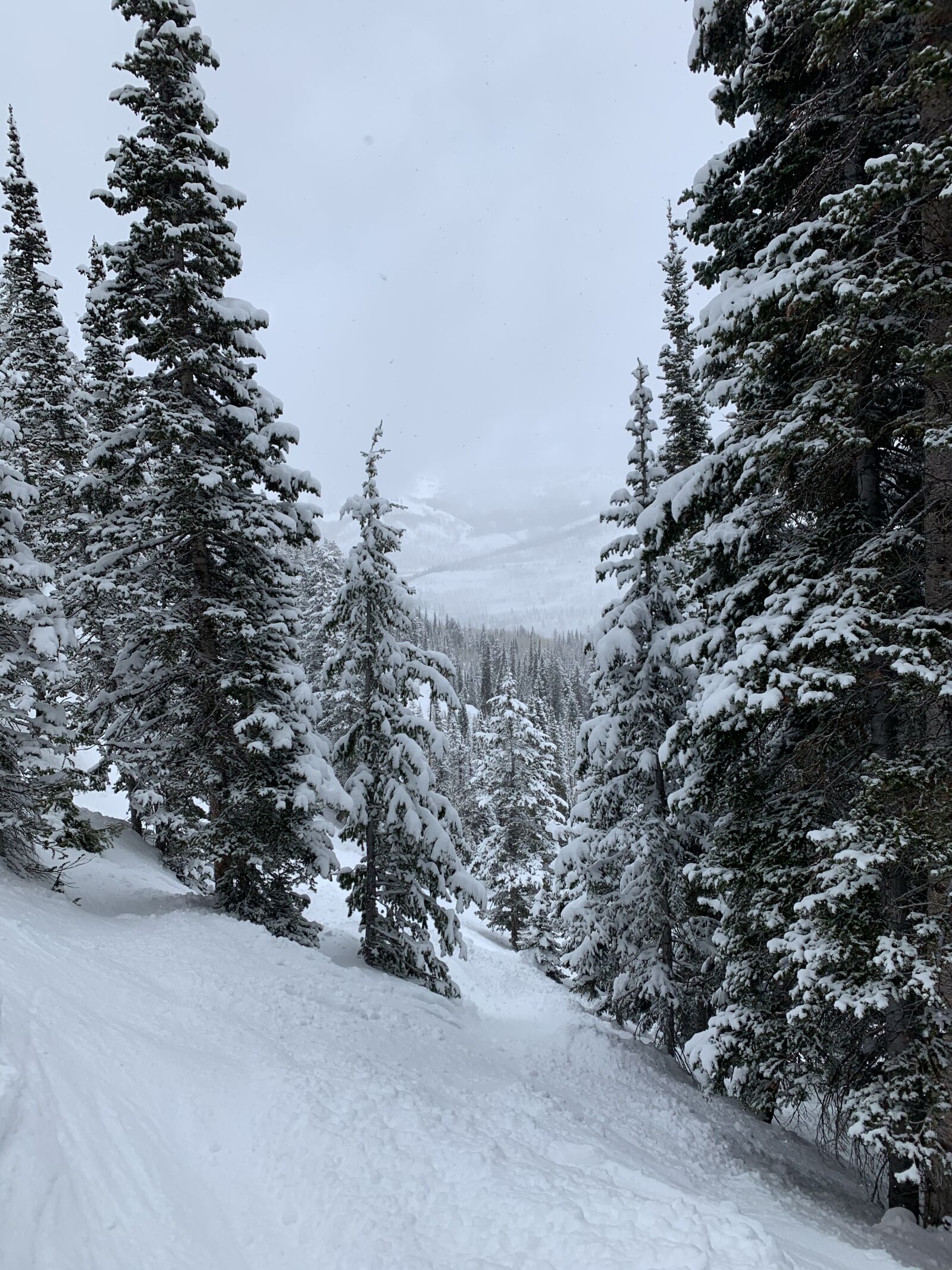 Apple iPhone XR sample photo. Winter, utah, ski photography