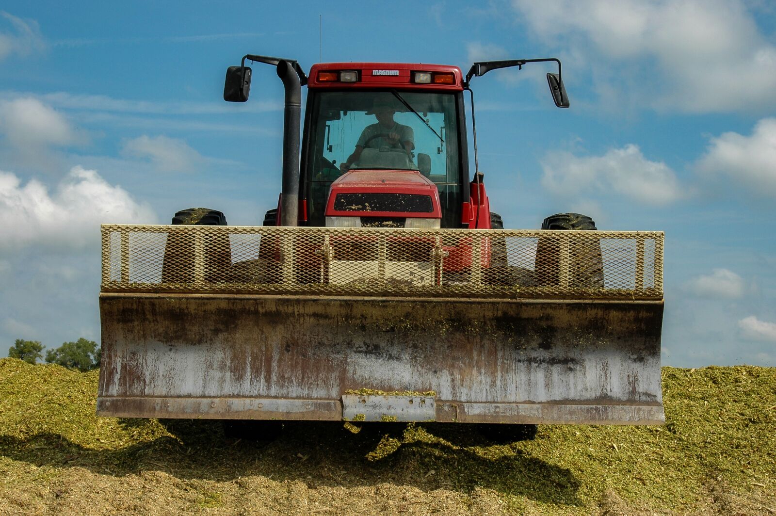 Nikon D70 sample photo. Silage, corn, cut photography