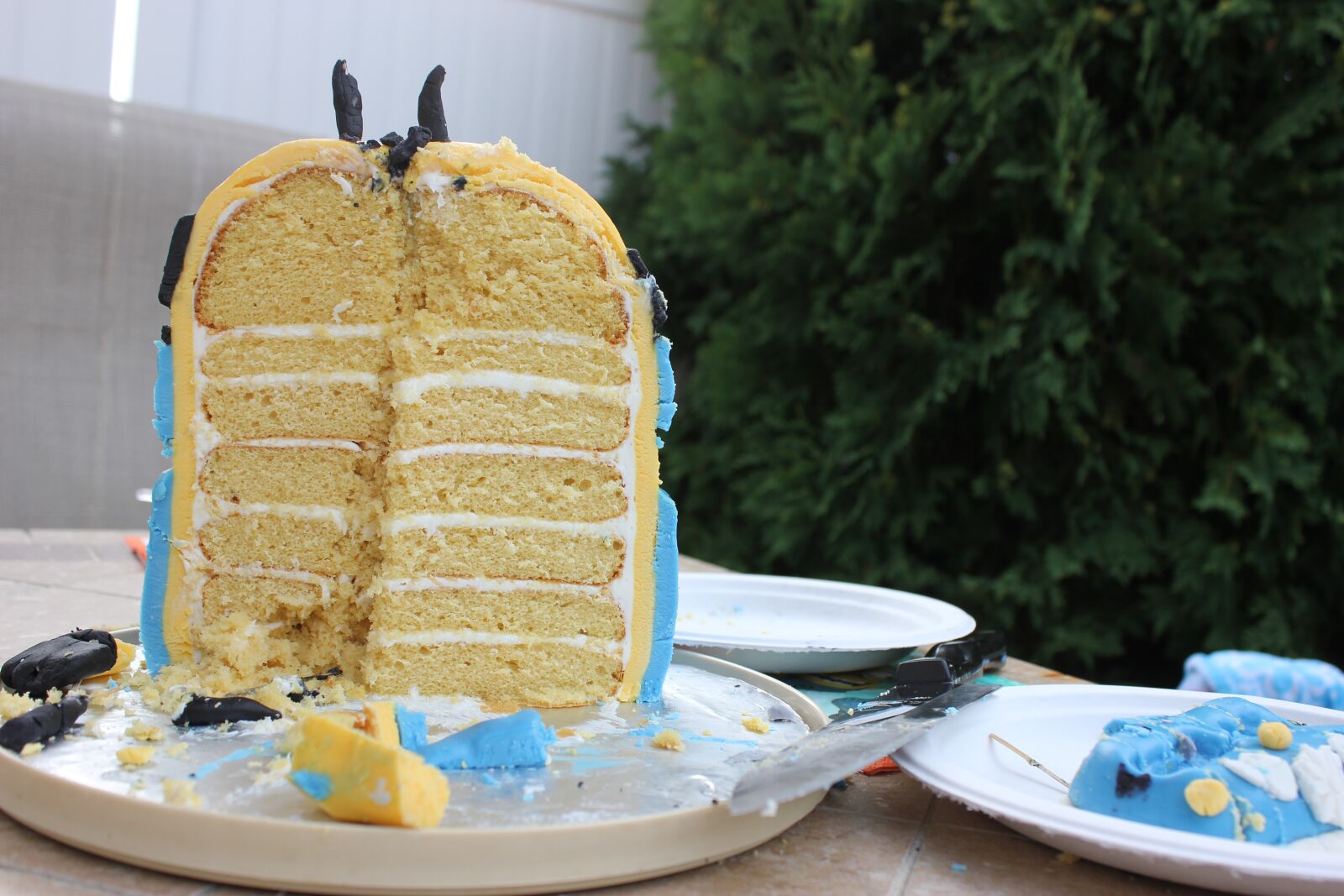 Canon EOS 550D (EOS Rebel T2i / EOS Kiss X4) sample photo. Cake, party, dinner photography