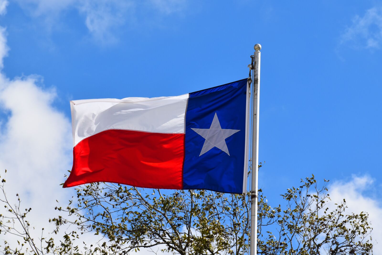 Nikon D5500 sample photo. Texas state flag, texas photography
