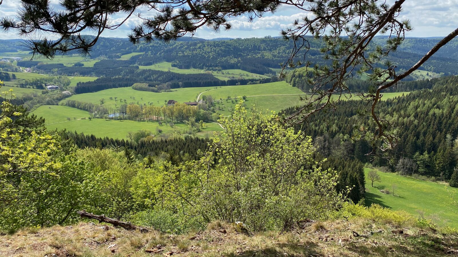 Apple iPhone 11 Pro sample photo. Sheep mountain, animal in photography