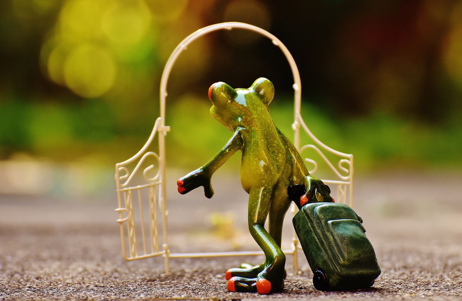 Nikon D7200 sample photo. Archway, garden door, frog photography