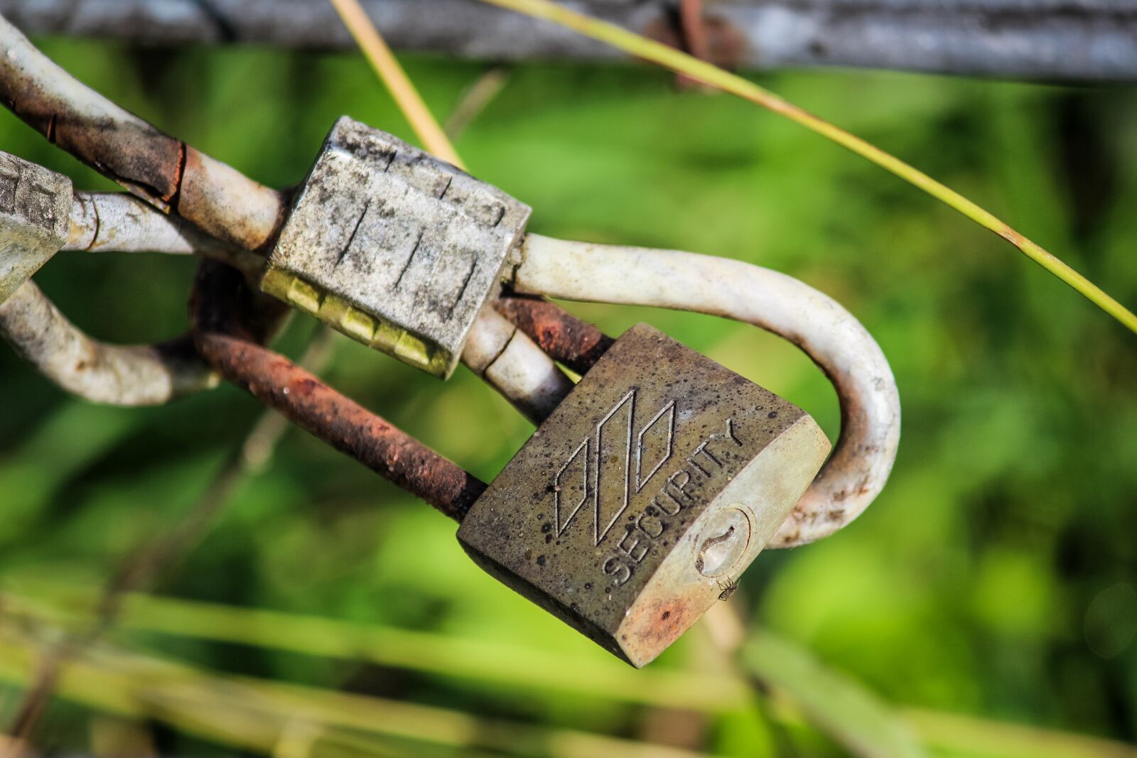 Canon EF-S 55-250mm F4-5.6 IS II sample photo. Lock, rusty, farm photography