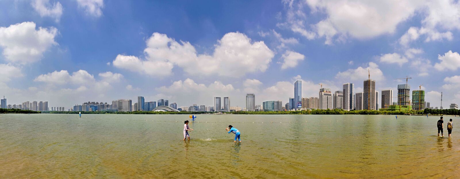 Nikon D700 sample photo. Hefei, swan lake, lake photography