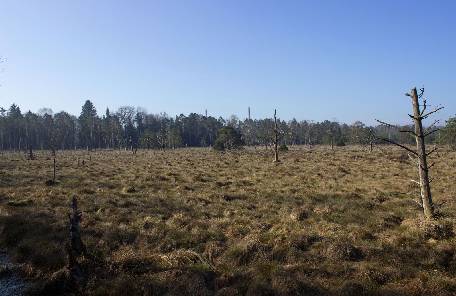 Canon EOS 600D (Rebel EOS T3i / EOS Kiss X5) sample photo. Wurzacher ried, nature reserve photography