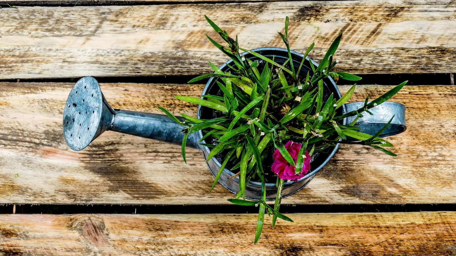 Sony Cyber-shot DSC-HX300 sample photo. Watering can, garden, box photography