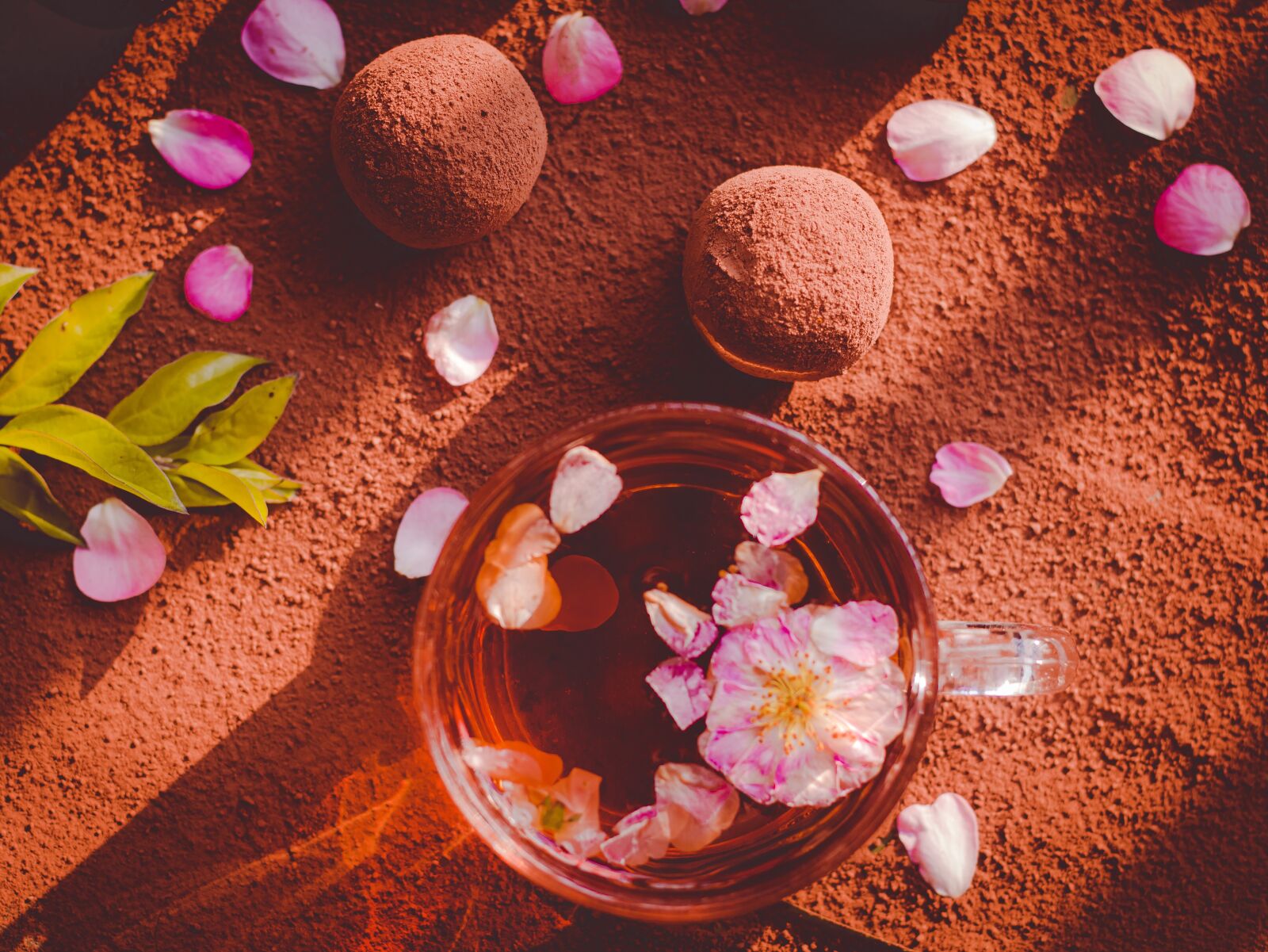Canon EOS 70D + Canon EF 50mm F1.8 STM sample photo. Tea, nama, chocolate photography