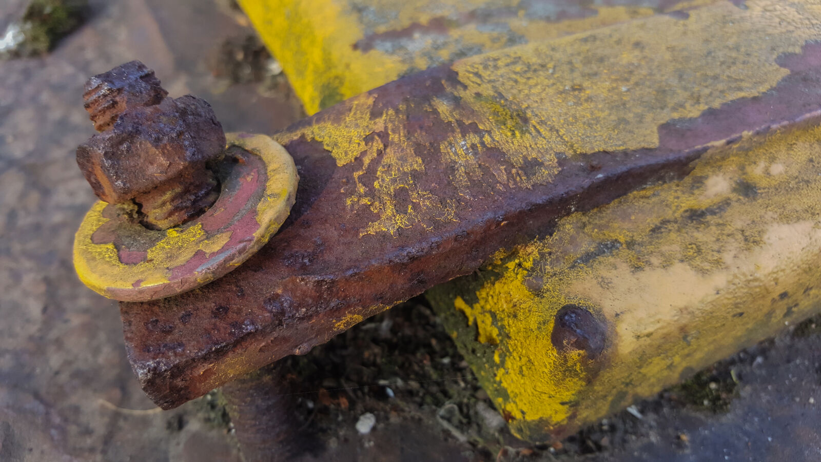 Samsung Galaxy S6 sample photo
