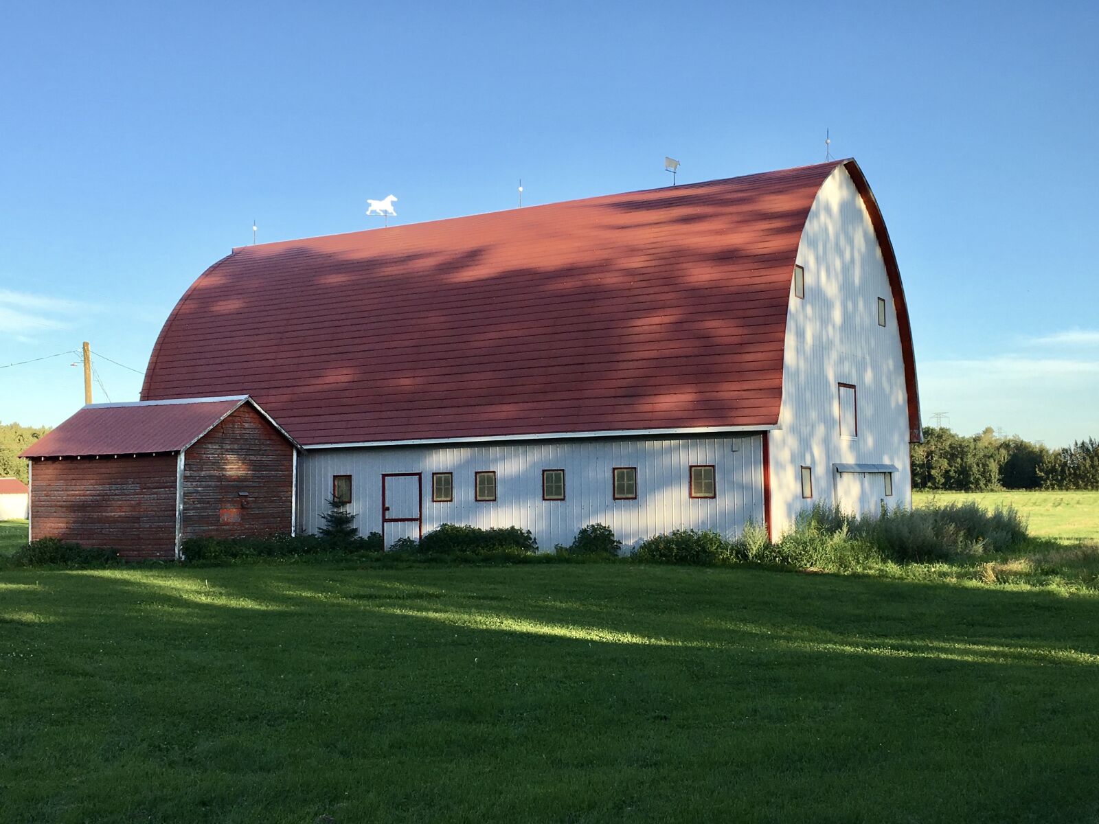 Apple iPhone 6s sample photo. Alberta barn, farm, rural photography