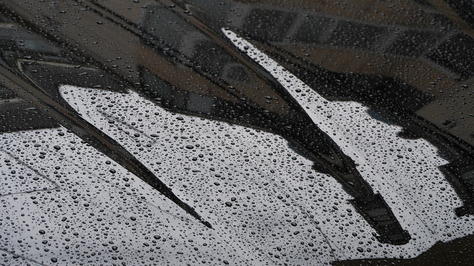 Panasonic Lumix DMC-GH3 sample photo. Non, raindrops, water photography