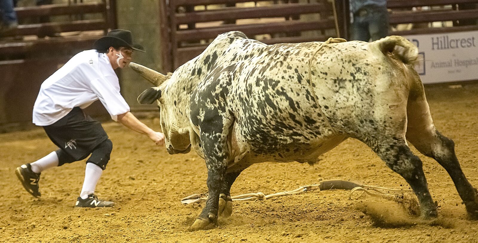 Nikon D850 sample photo. Bull, rodeo, cowboy photography