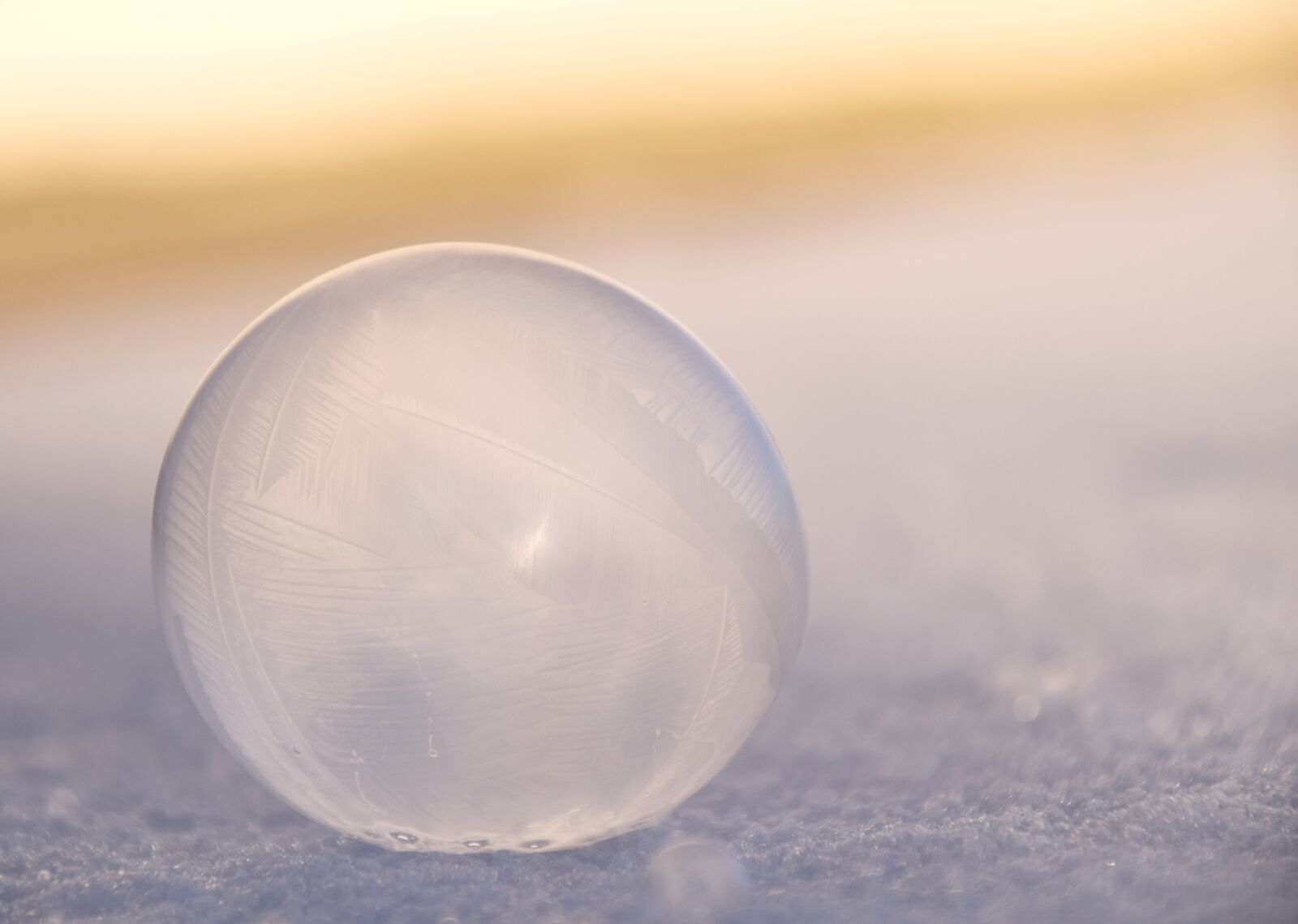 Nikon D3300 sample photo. Bubble, soap bubble, iridescent photography