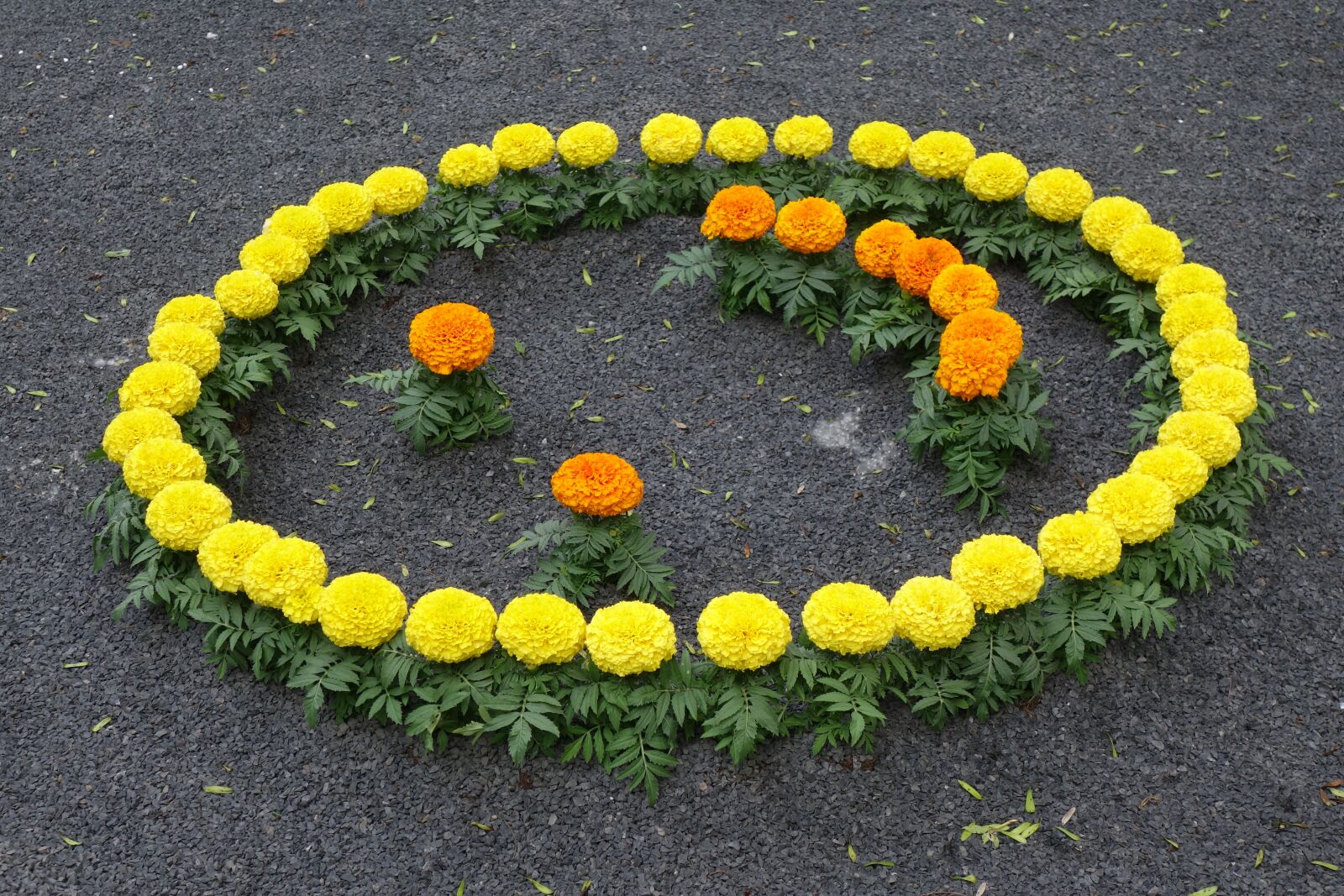 Sony Cyber-shot DSC-RX100 II sample photo. Floral smiley, yellow orange photography