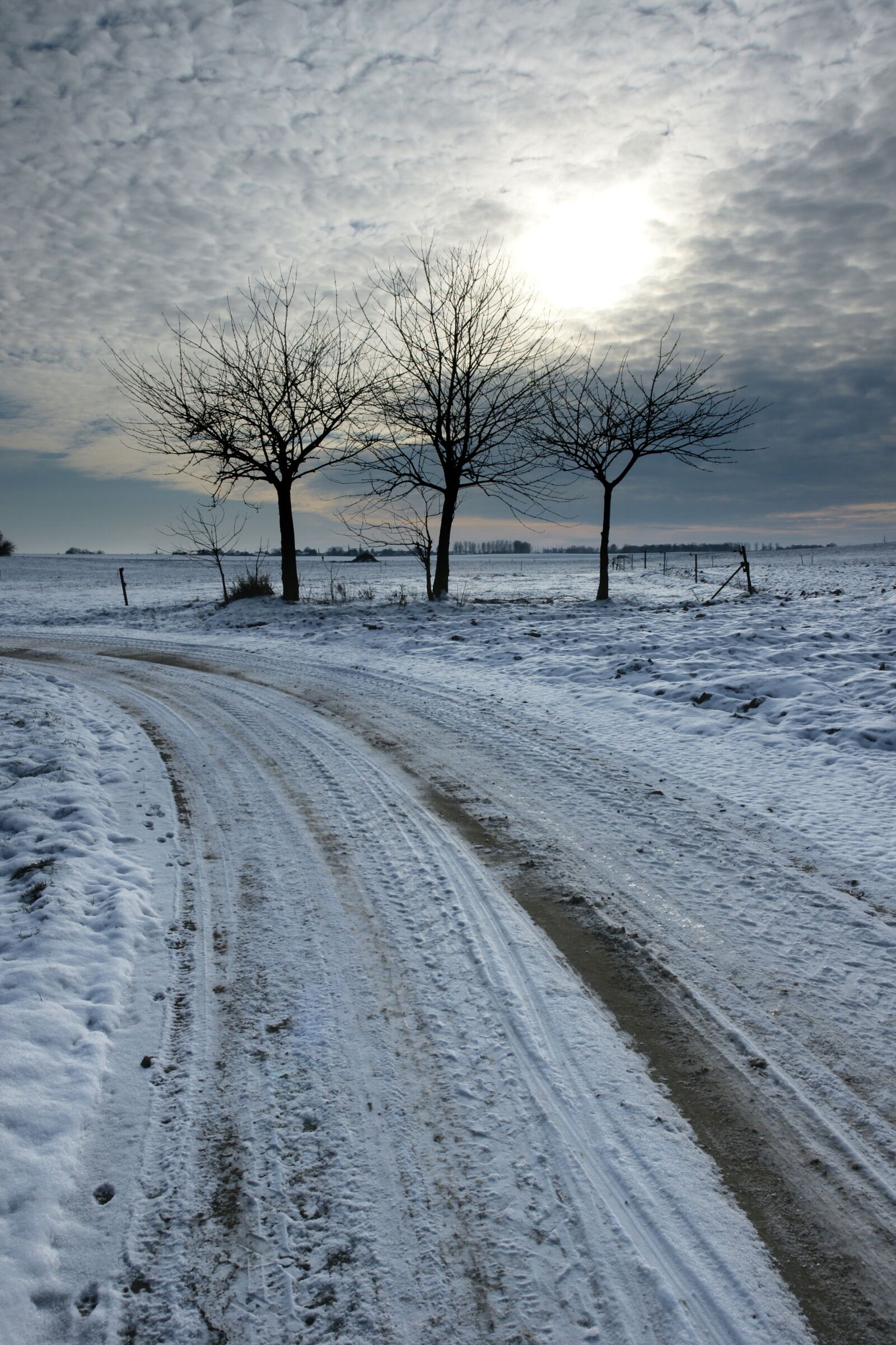Sony Alpha DSLR-A700 sample photo. Winter, frost, cold photography