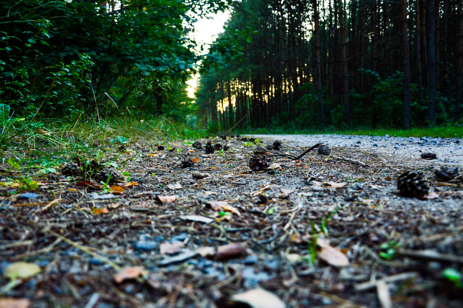 Nikon D3200 sample photo