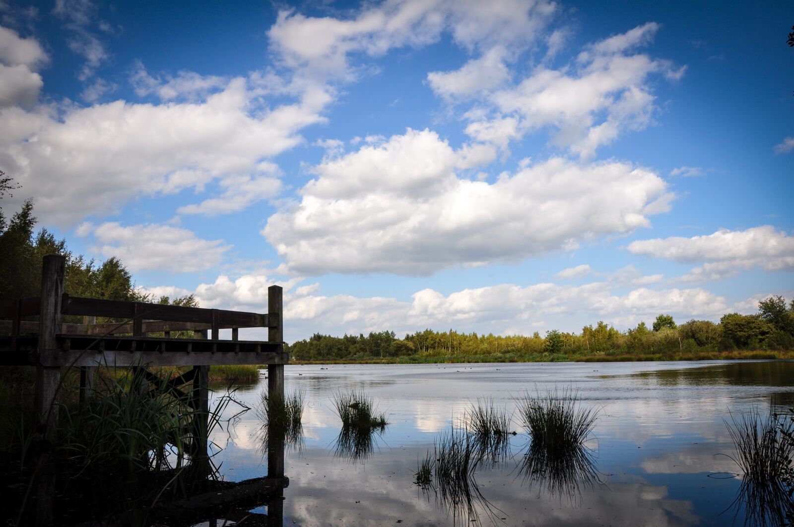 Nikon D90 sample photo. Pond, lake, water photography