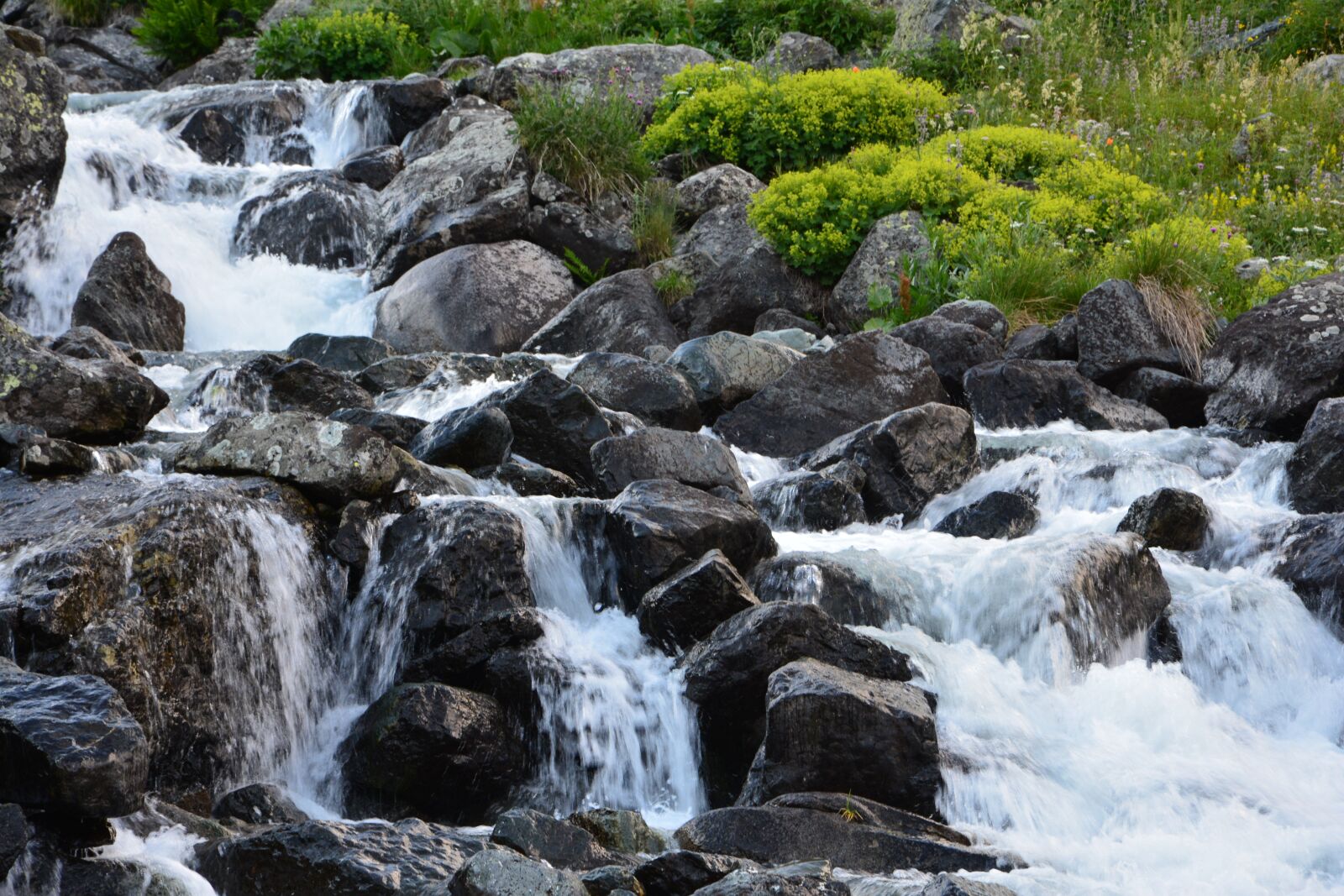 Nikon D7100 sample photo. Nature, landscape, kaçkars photography
