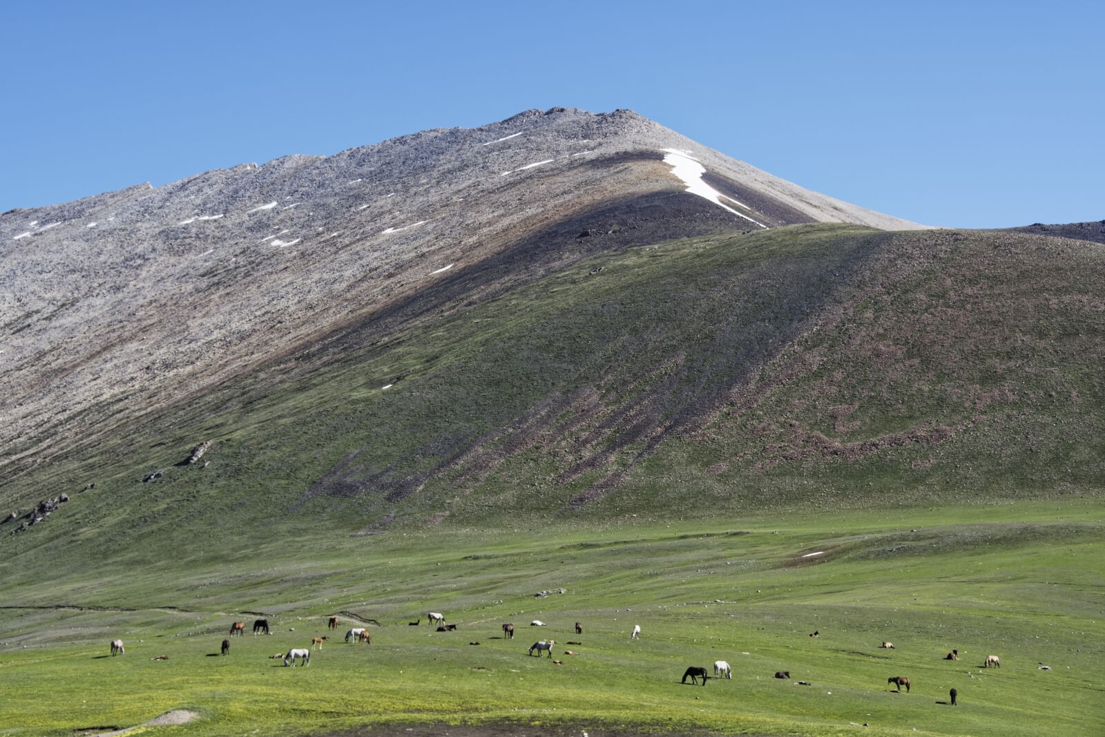 Nikon D500 sample photo. Kyrgyzstan, alabel pass, pass photography