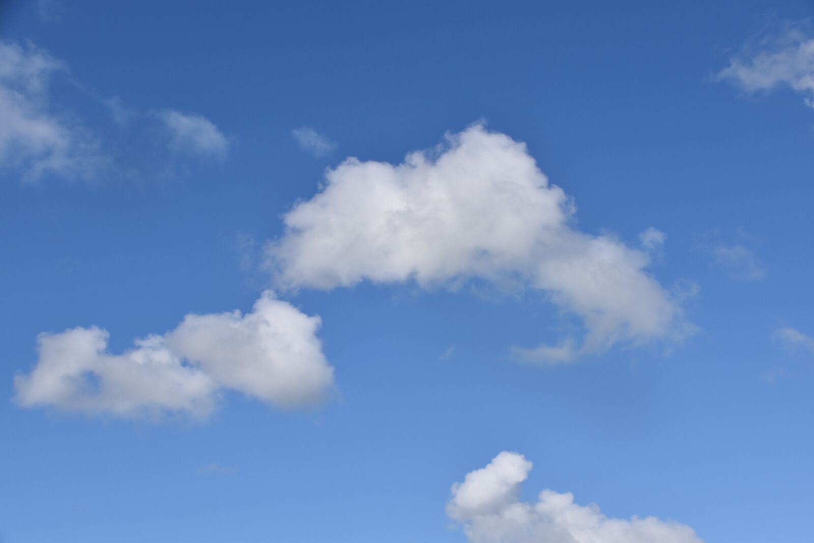 Nikon D5600 sample photo. Cloudscape, clouds, sky photography