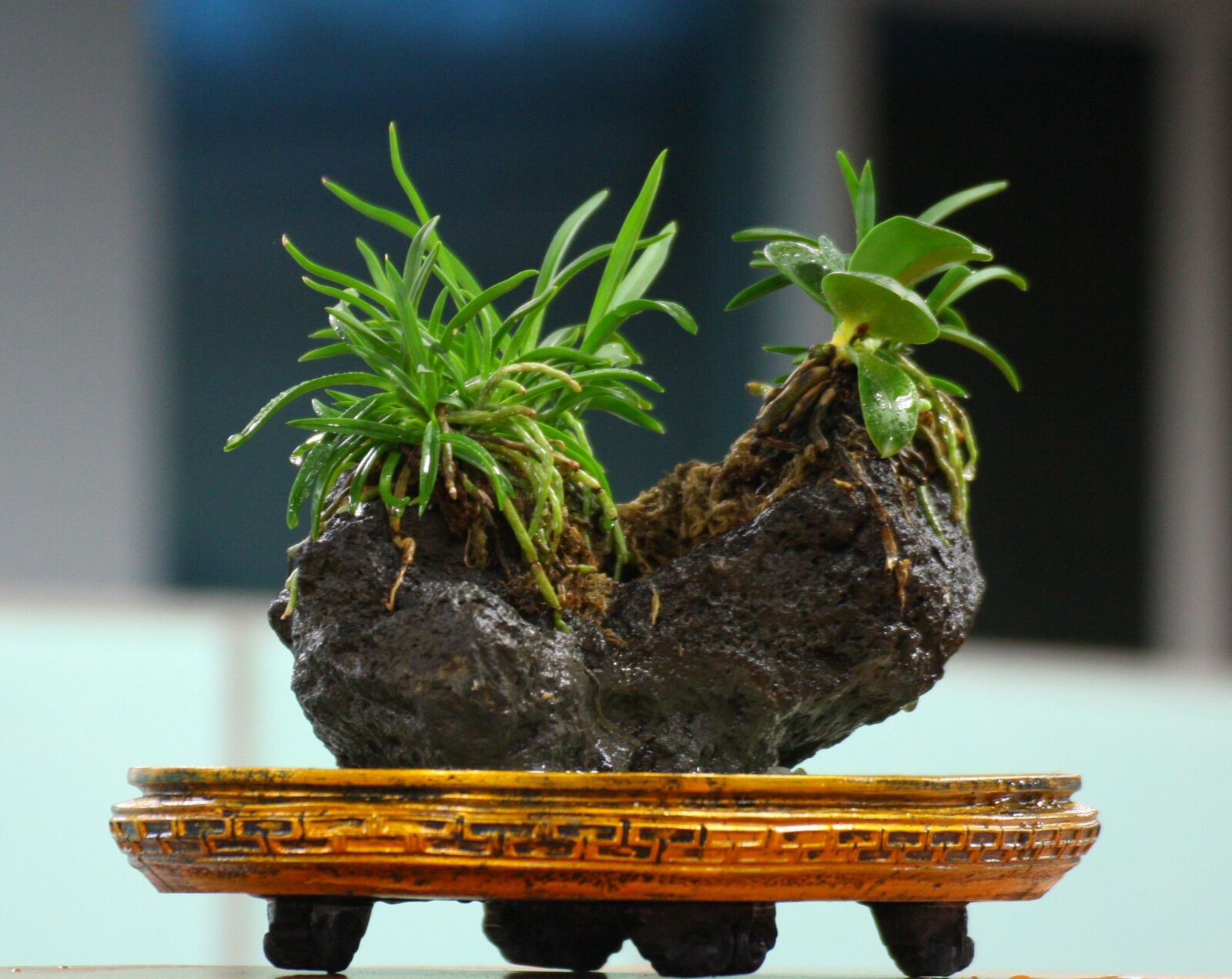 Canon EOS 40D sample photo. Nature, plants, leaf photography