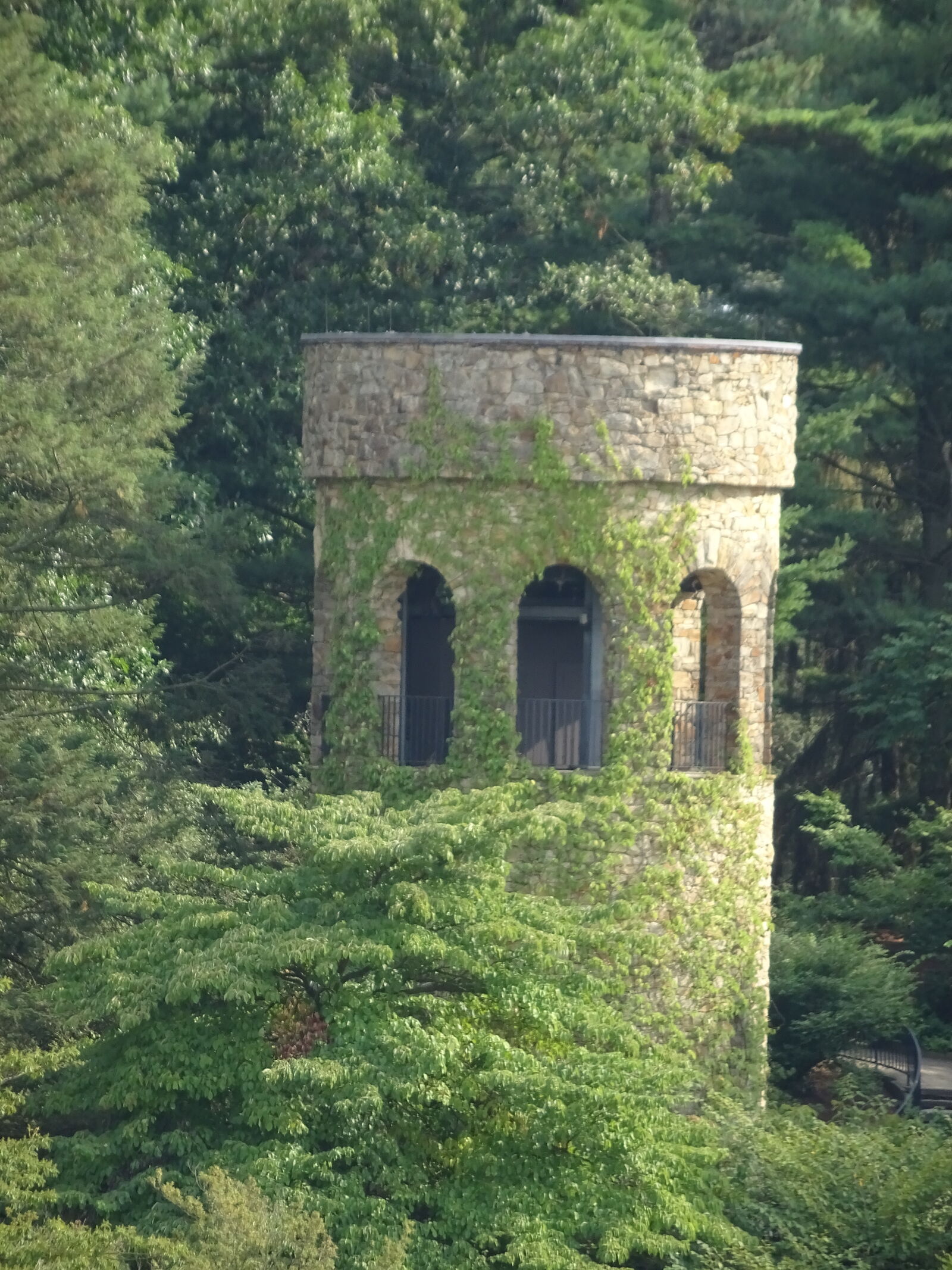 Sony DSC-QX30 sample photo. Castle, park, tower photography