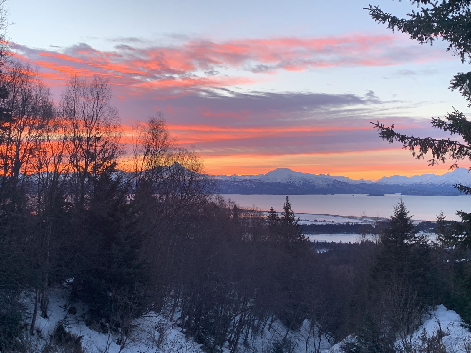 Apple iPhone XR sample photo. Pink sky, homer, alaska photography