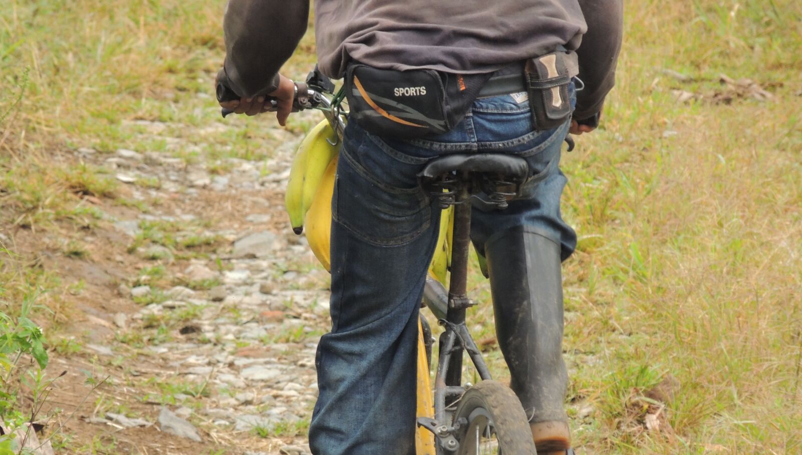 Nikon Coolpix P510 sample photo. Images, armenia, quindio photography