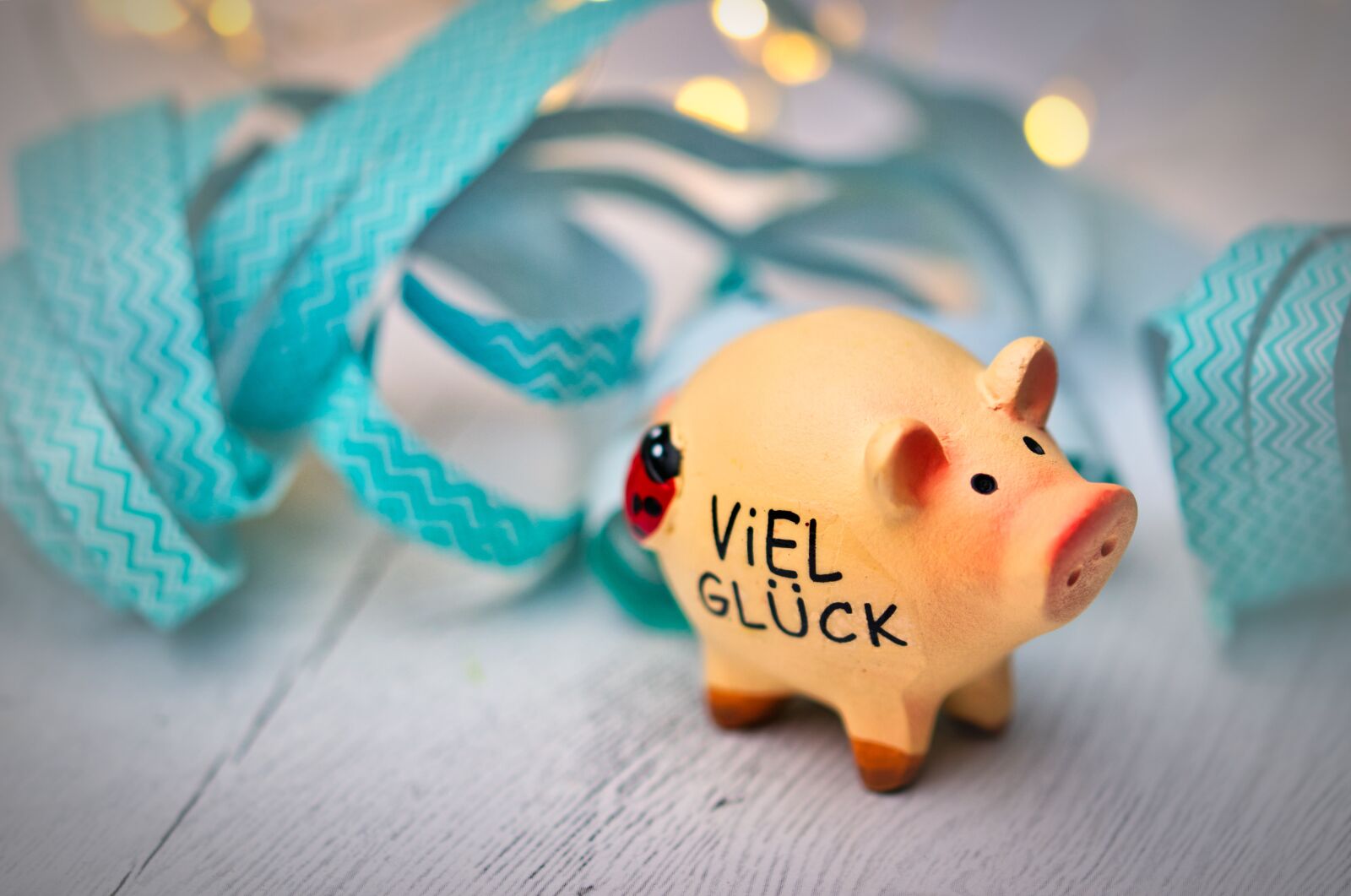 Canon EOS 200D (EOS Rebel SL2 / EOS Kiss X9) sample photo. Lucky pig, luck, lucky photography
