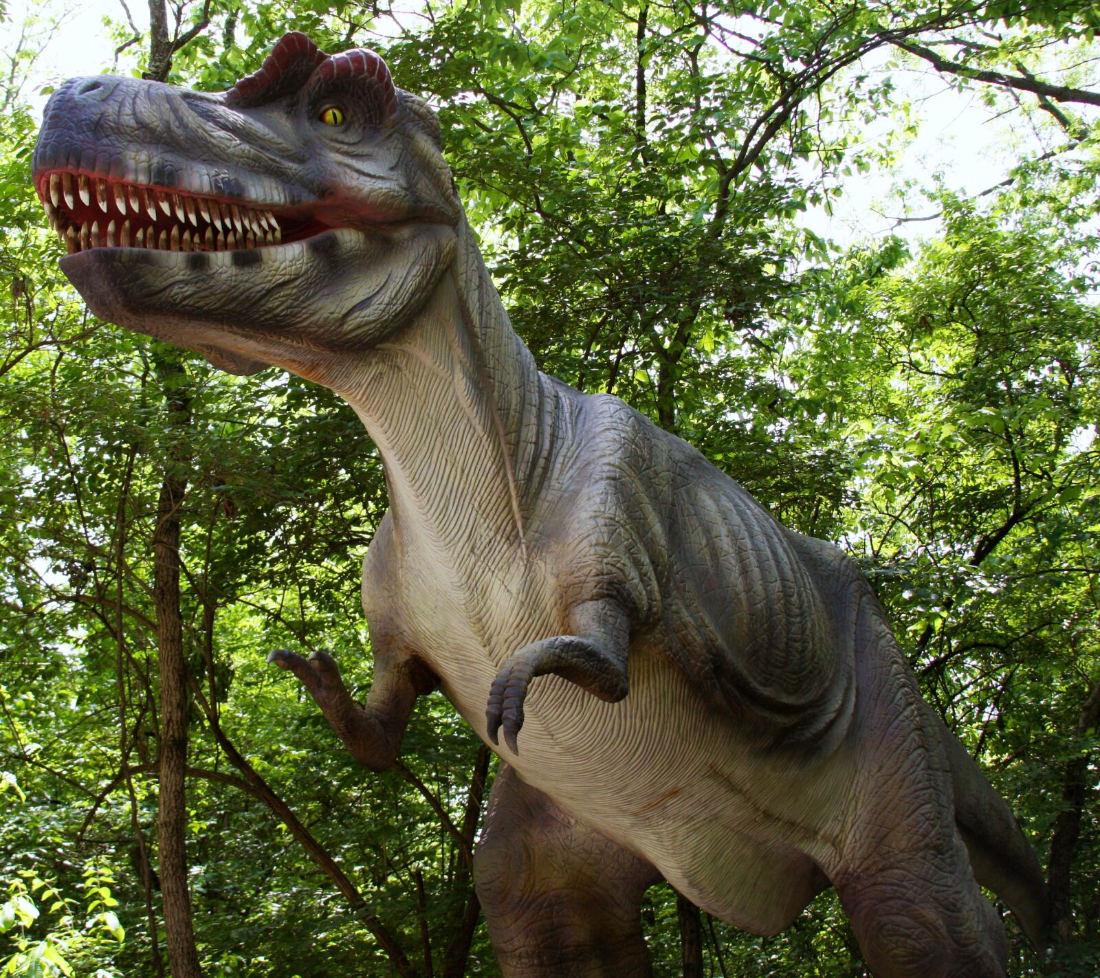 Canon EOS 40D sample photo. Tyrannosaurus rex, simulation, dinosaur photography