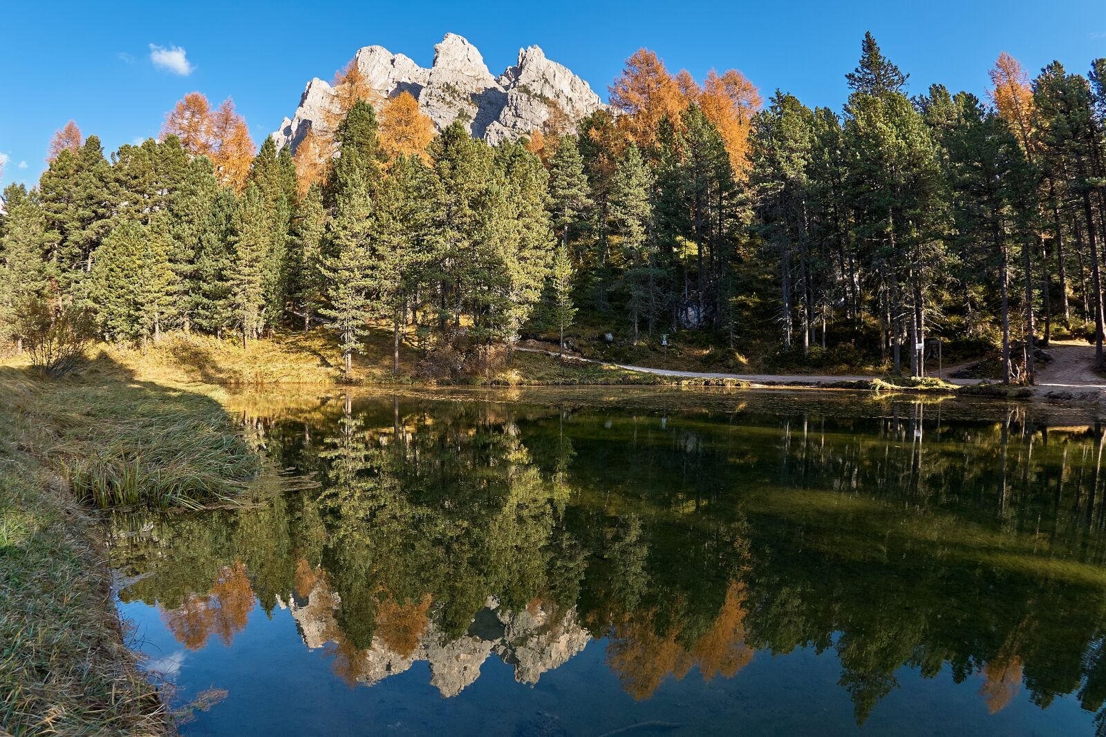 Nikon D200 sample photo. Autumn, lake, trees photography