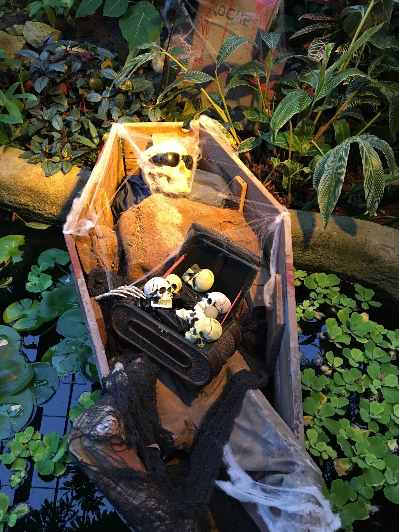 Apple iPhone 6s sample photo. Halloween, coffin, spooky photography