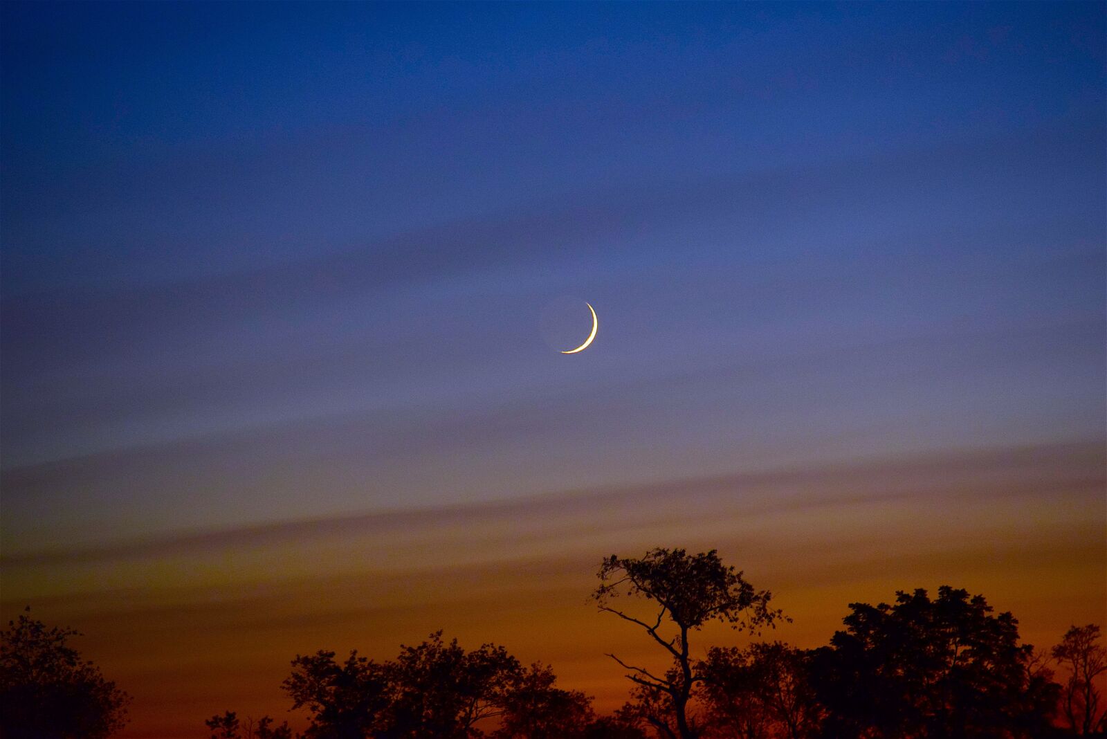 Nikon D3300 sample photo. Moon, sky, crescent photography
