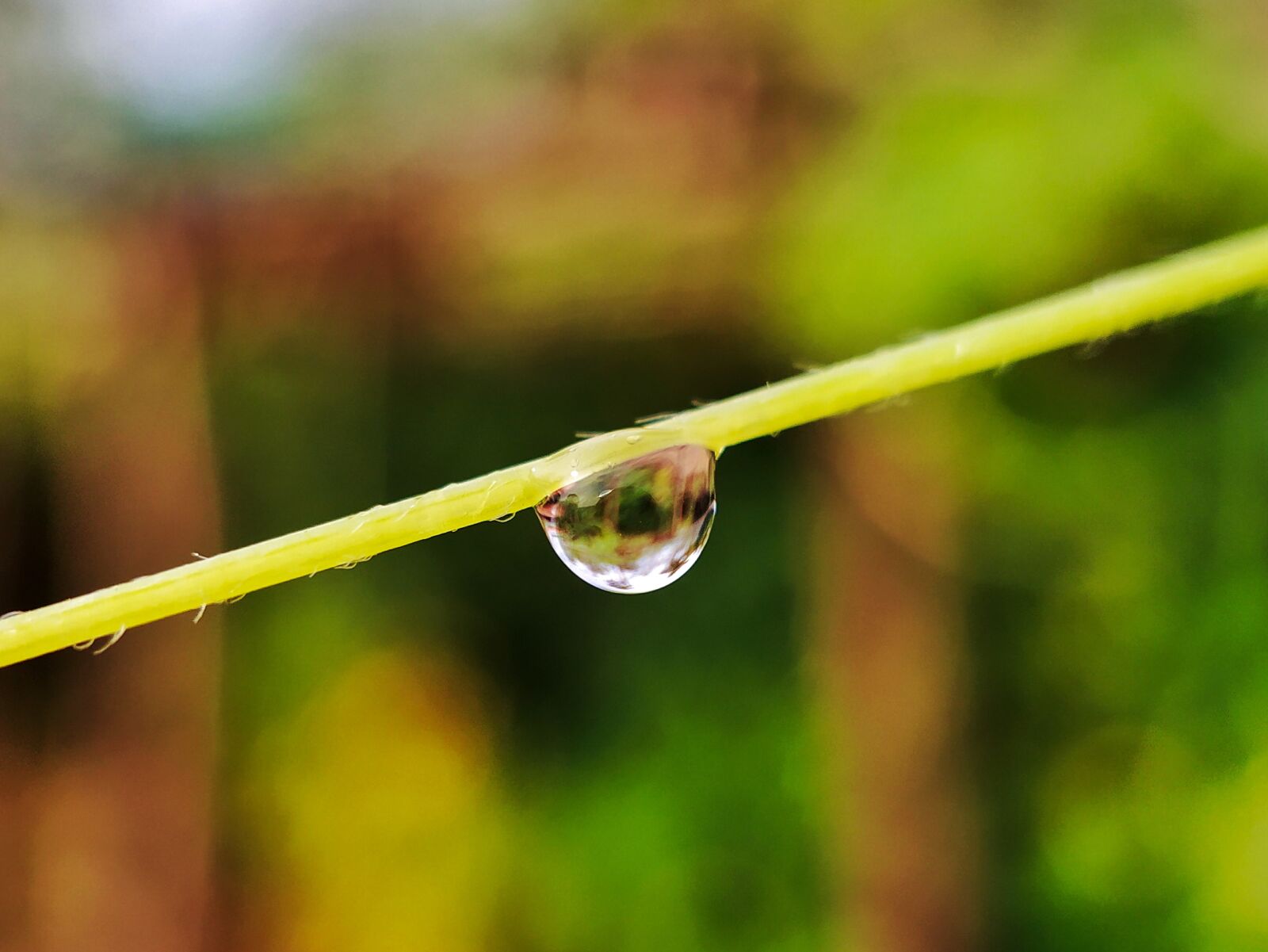 Xiaomi Mi A3 sample photo. Water drop, macro, water photography