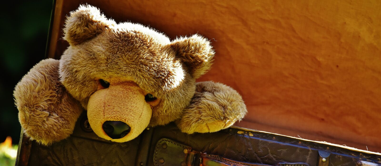 Nikon D7200 sample photo. Luggage, antique, teddy photography