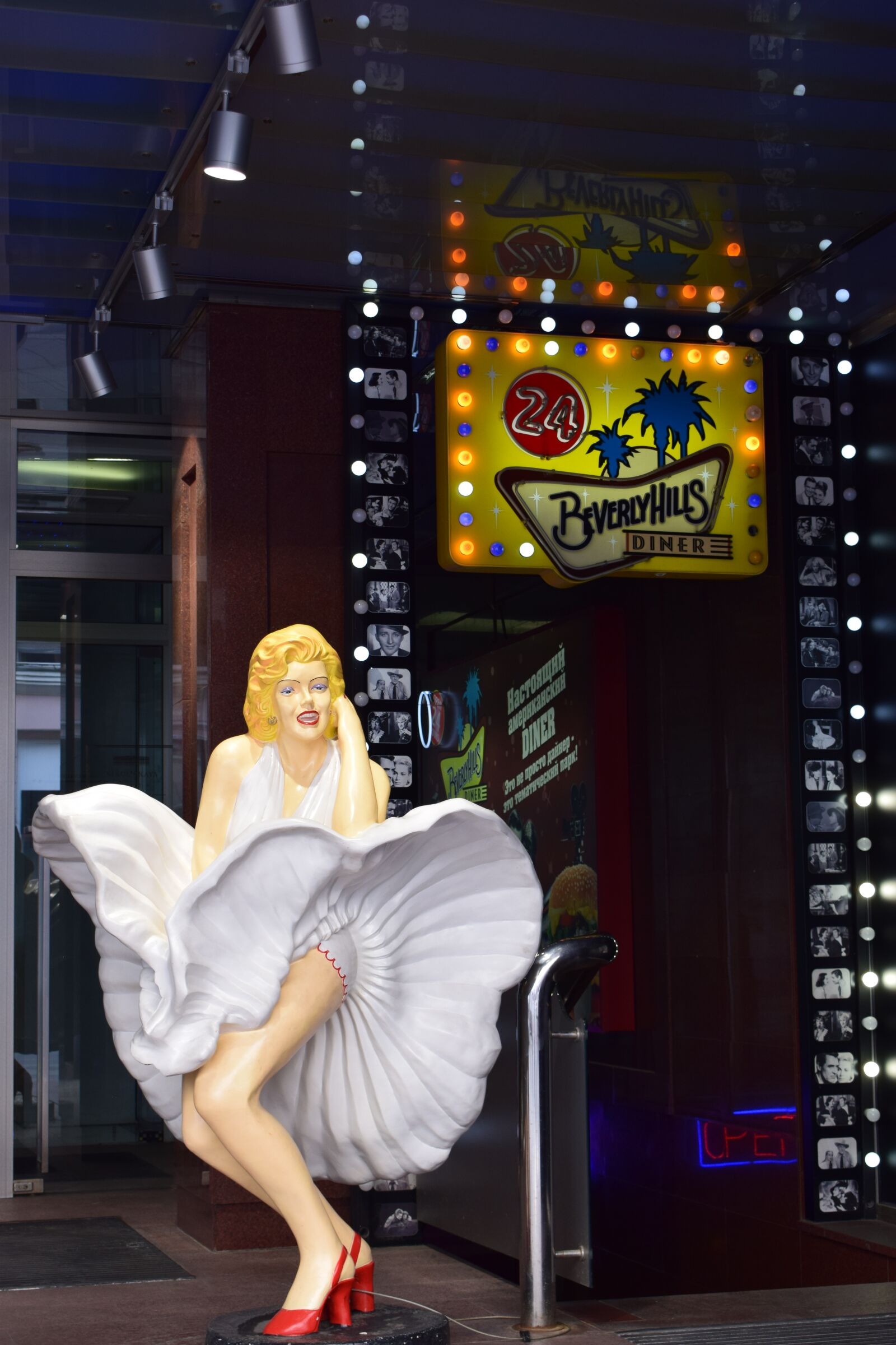 Nikon D3300 sample photo. Moscow, marilyn, view photography