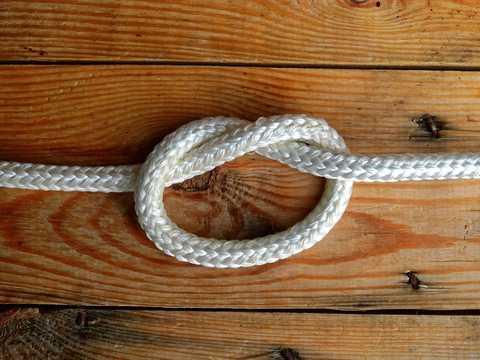 Nikon Coolpix P900 sample photo. Loop, rope, wood photography