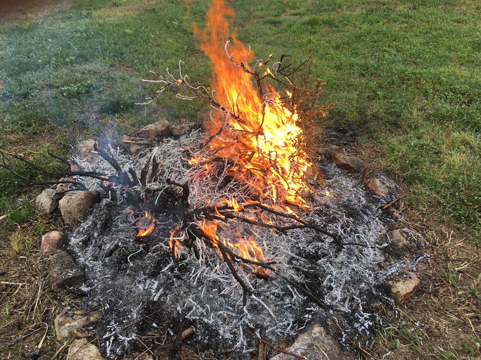 iPhone SE back camera 4.15mm f/2.2 sample photo. Smolder, fire, burn photography