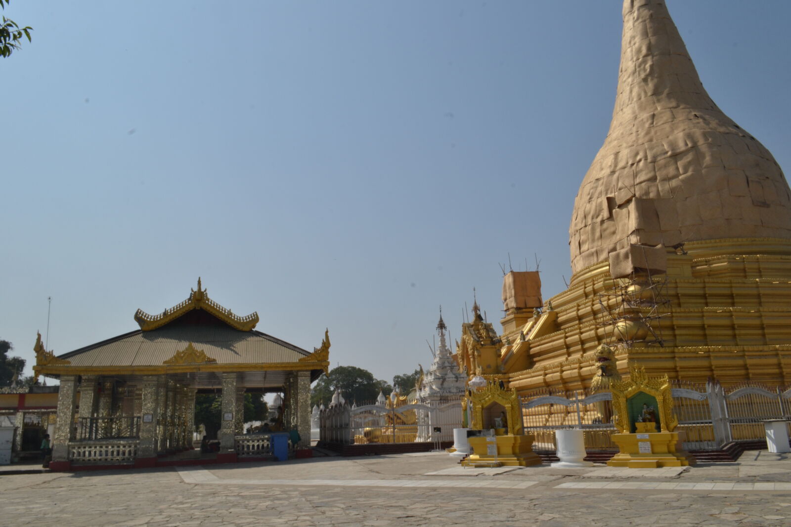 Nikon D3100 sample photo