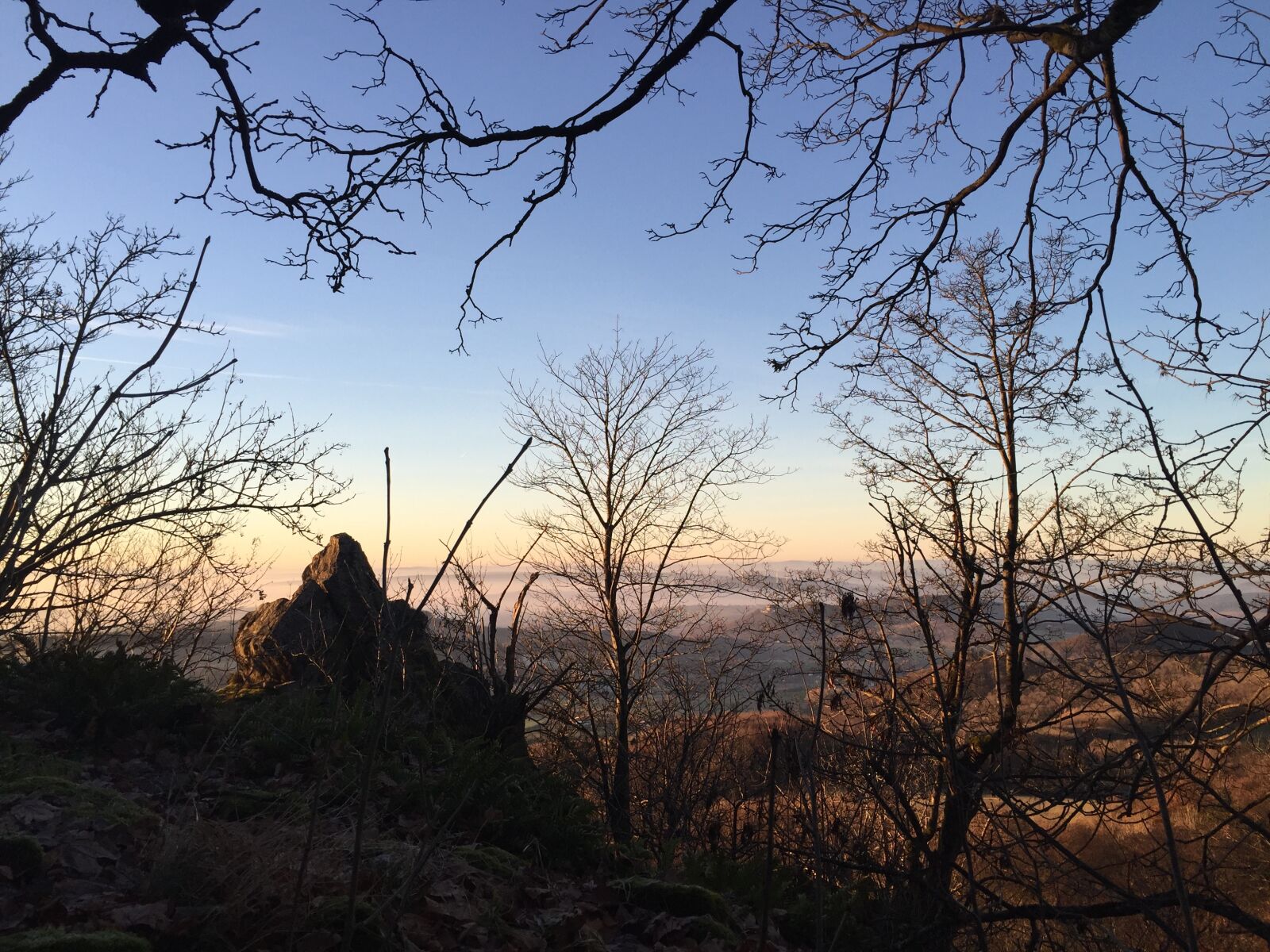 Apple iPhone 6 sample photo. Landscape, nature, rhön photography