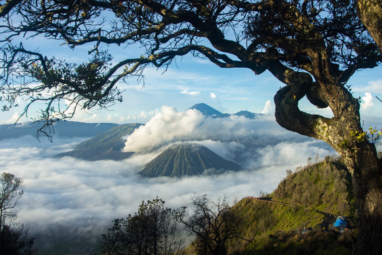 Nikon D7200 sample photo. Bromo, landscape, indonesia photography