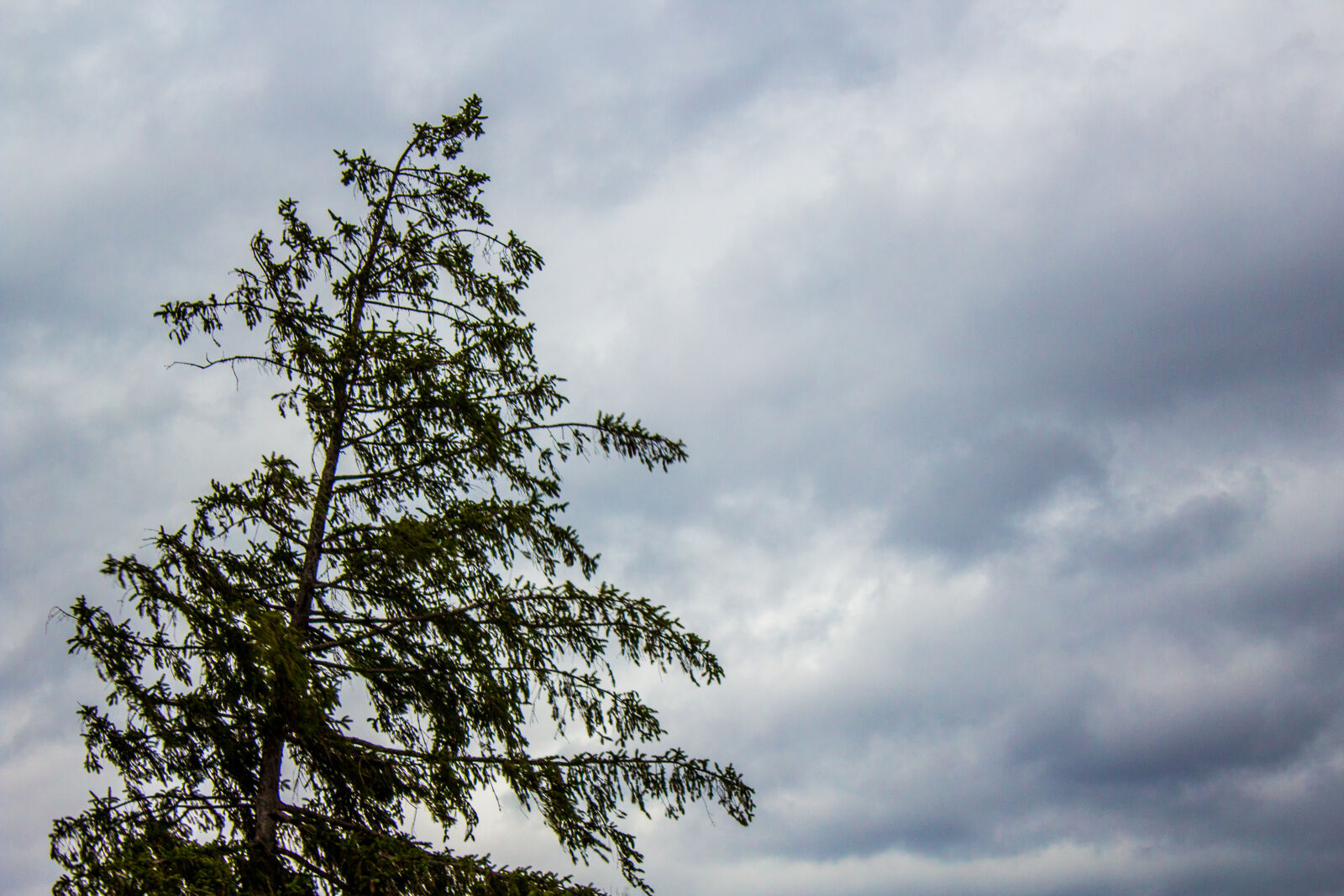 Canon EOS 1200D (EOS Rebel T5 / EOS Kiss X70 / EOS Hi) sample photo. Canon, cloud, nature, storm photography