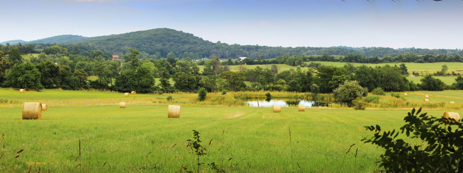 Canon EOS 600D (Rebel EOS T3i / EOS Kiss X5) sample photo. Shenandoah valley, round hill photography