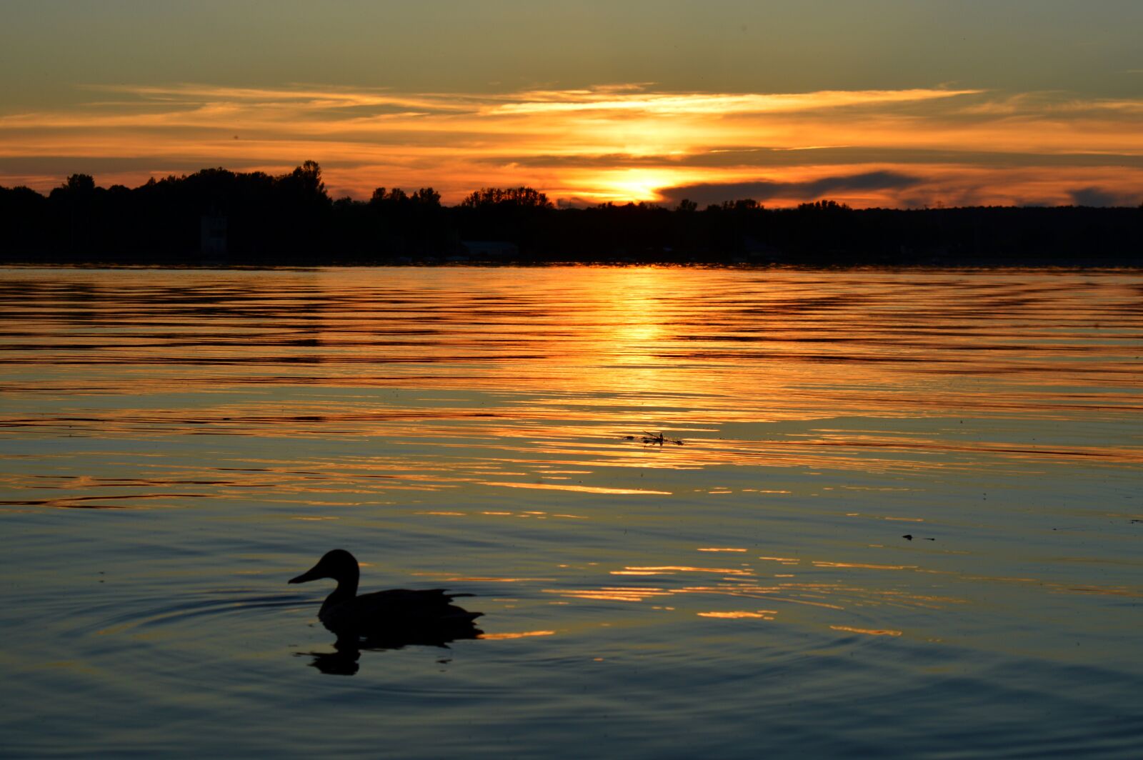 Nikon D3200 sample photo. West, the sun, light photography