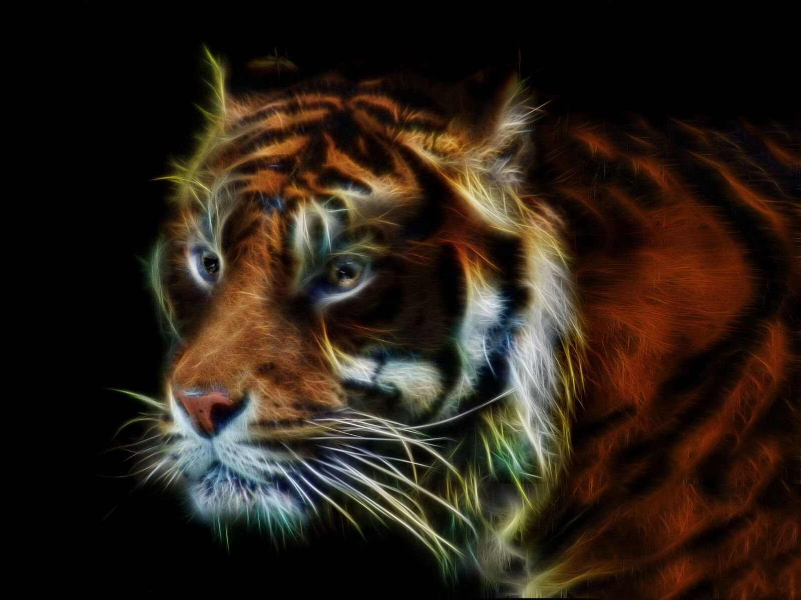 Nikon D300 sample photo. Tiger, fractalius, wildcat photography