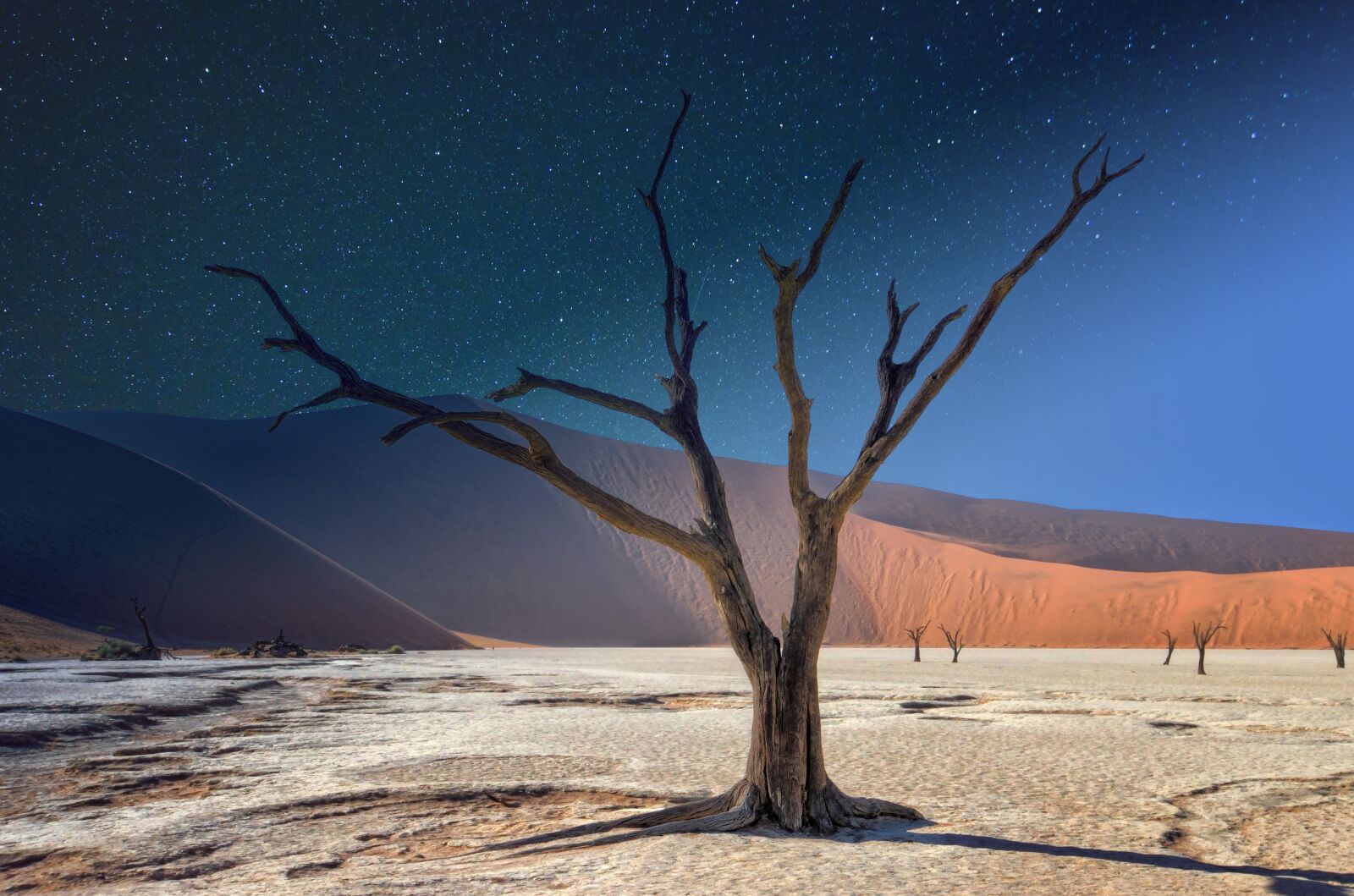 Nikon D5500 sample photo. Namibia, deadvlei, panorama photography