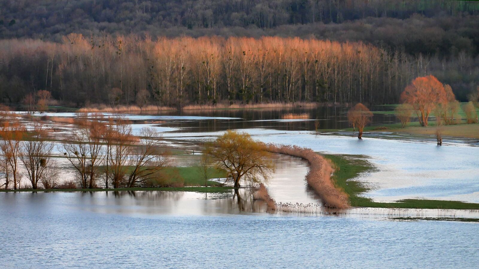 Panasonic Lumix DMC-GX85 (Lumix DMC-GX80 / Lumix DMC-GX7 Mark II) sample photo. Flood, river, waterpolo photography